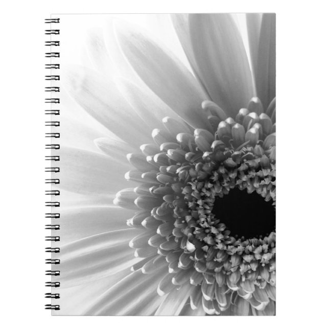 Gerbera Daisy Notizblock (Vorderseite)