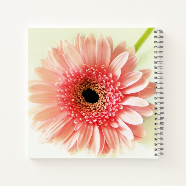 Gerbera Daisy Notizbuch (Rückseite)