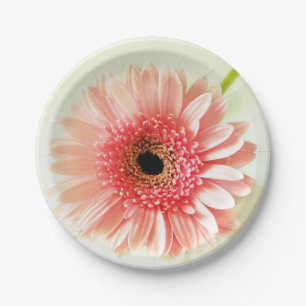 Gerbera Daisy Pappteller