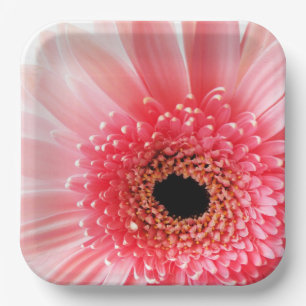 Gerbera Daisy Pappteller