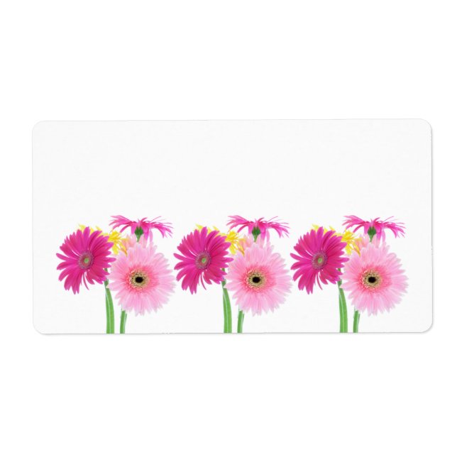 Gerbera Daisy Piink Blume (Vorne)
