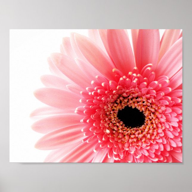 Gerbera Daisy Poster (Vorne)