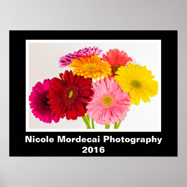 Gerbera Daisy Poster (Vorne)