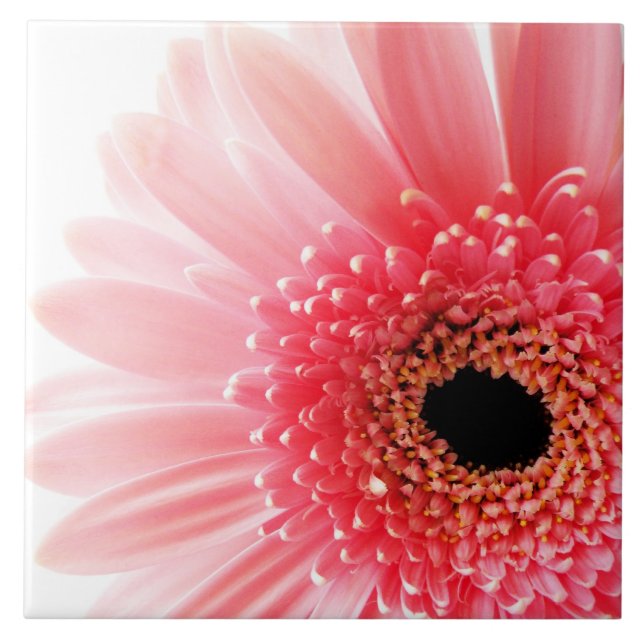 Gerbera Daisy Poster Fliese (Vorderseite)