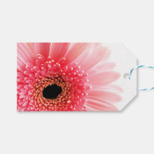 Gerbera Daisy Poster Geschenkanhänger