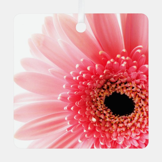 Gerbera Daisy Poster Ornament Aus Metall (Vorderseite)