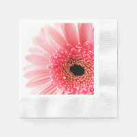 Gerbera Daisy Poster