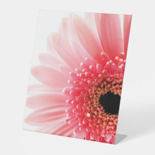 Gerbera Daisy Poster Sockelschild