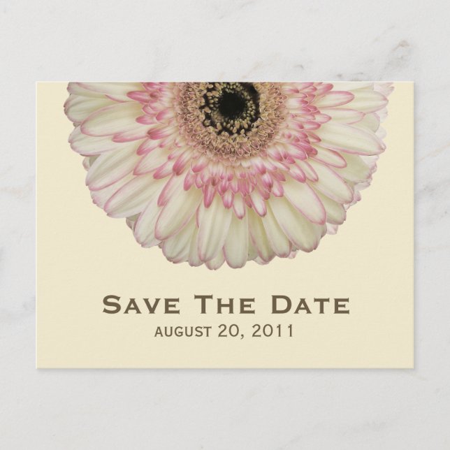 Gerbera Daisy Save the Date Postcard Ankündigungspostkarte (Vorderseite)