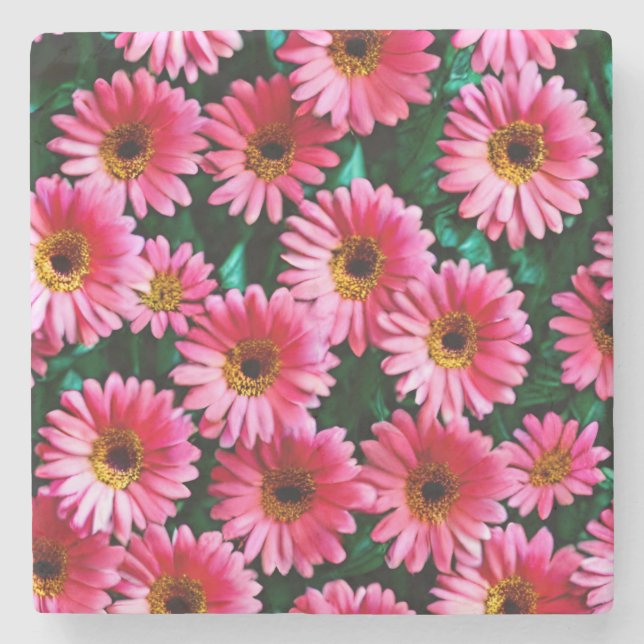 Gerbera Daisy Stone Untersetzer (Vorderseite)