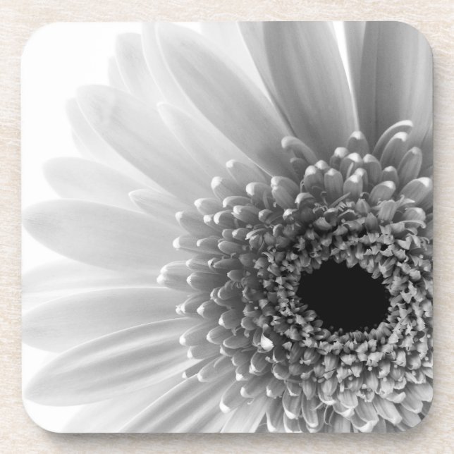 Gerbera Daisy Untersetzer (Vorderseite)