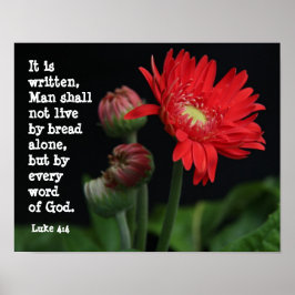Gerbera Daisy w/ Scripture Verse (Luke 4:4) Poster