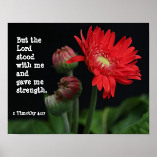 Gerbera Daisy w/ Scripture Verse (Timothy 4:17) Poster