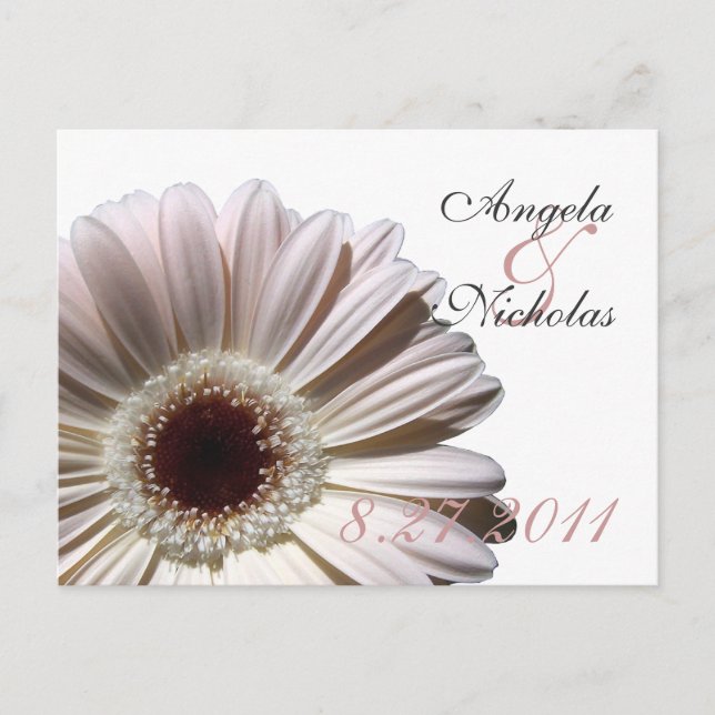 Gerbera Daisy/ Wedding Response Card Einladungspostkarte (Vorderseite)