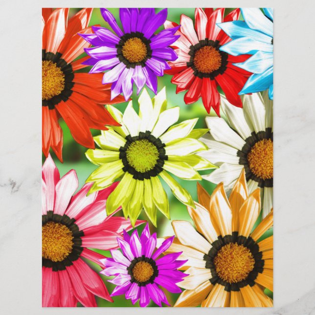 Gerbera farbenfrohe Blume (Vorderseite)