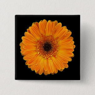 Gerbera-Gänseblümchen Button