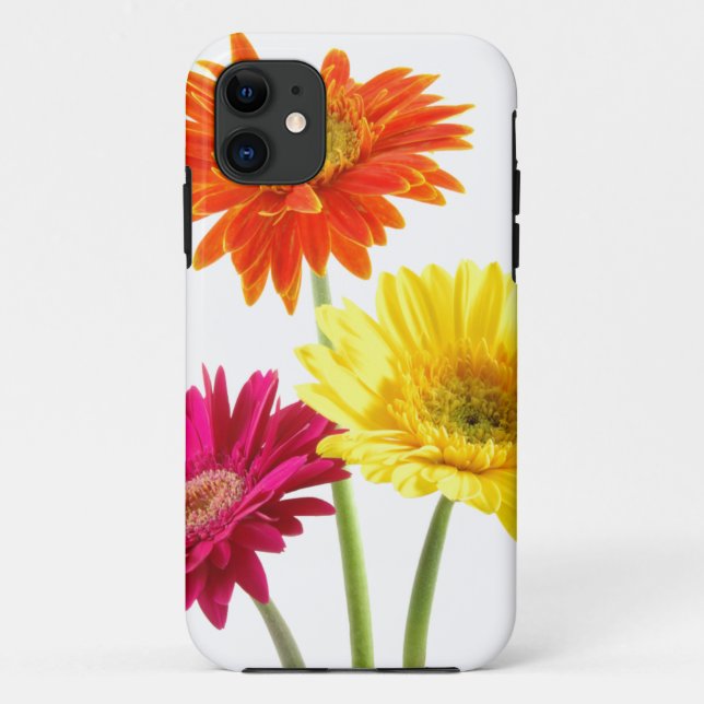Gerbera-Gänseblümchen-Freude Case-Mate iPhone Hülle (Rückseite)
