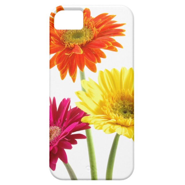 Gerbera-Gänseblümchen-Freude Case-Mate iPhone Hülle (Rückseite)