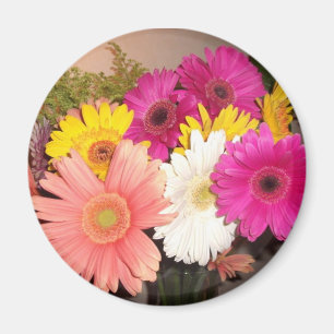 Gerbera-Gänseblümchen Magnet