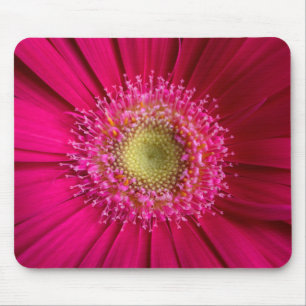 Gerbera-Gänseblümchen-Mausunterlage Mousepad