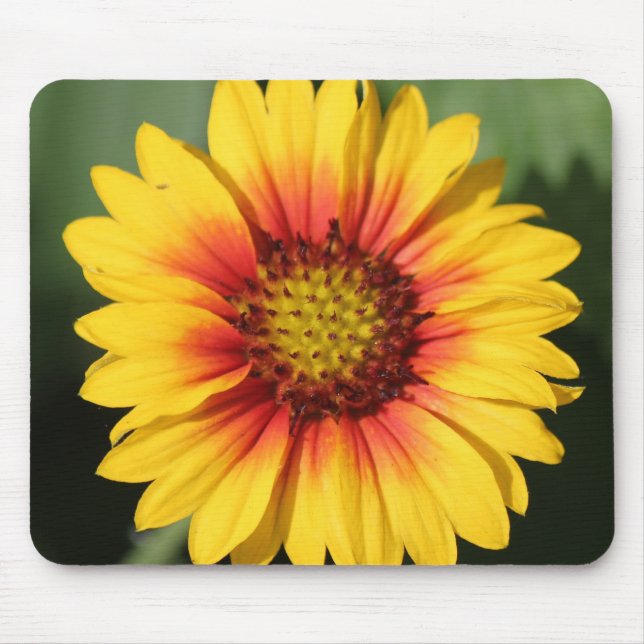Gerbera-Gänseblümchen-Mausunterlage Mousepad (Vorne)