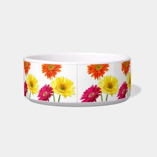 Gerbera-Gänseblümchen Napf (Rückseite)