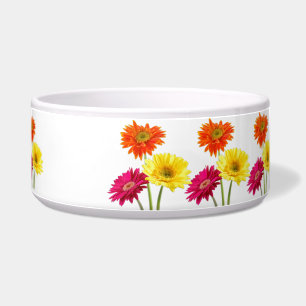Gerbera-Gänseblümchen Napf