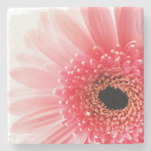 Gerbera Gänseblümchen Steinuntersetzer