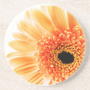 Gerbera Gänseblümchen Untersetzer