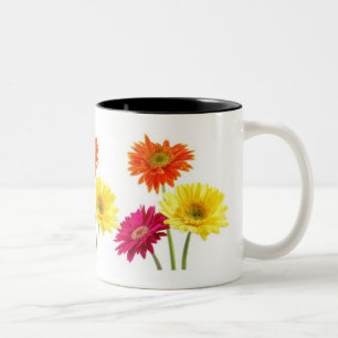 Gerbera-Gänseblümchen Zweifarbige Tasse