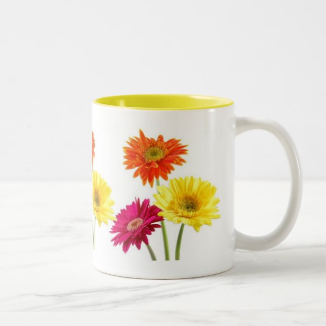 Gerbera-Gänseblümchen Zweifarbige Tasse (Rechts)