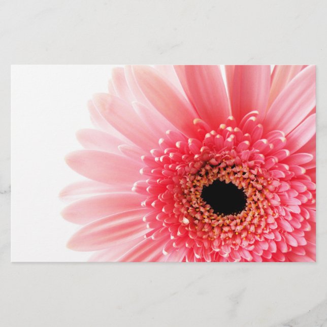 Gerbera-Margerite Briefpapier (Vorderseite)