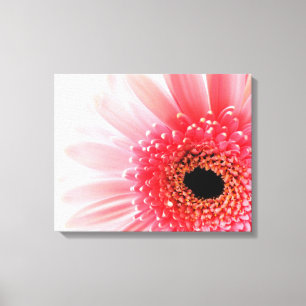 Gerbera-Margerite Leinwanddruck