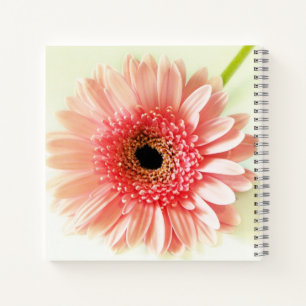Gerbera-Margerite Notizbuch