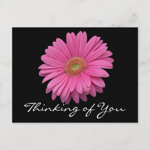 Gerbera-Margerite Pinke Blume Ich Denke An Dich Postkarte