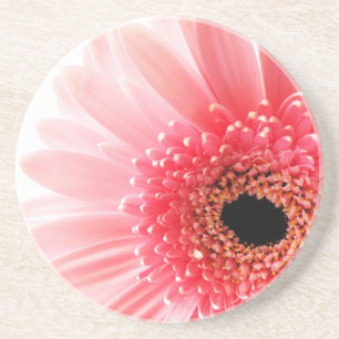Gerbera-Margerite Sandstein Untersetzer