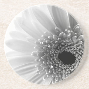 Gerbera-Margerite Sandstein Untersetzer