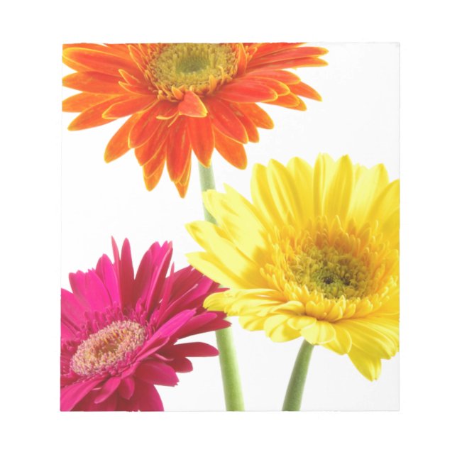 Gerbera-Marguerite Notizblock (Vorderseite)