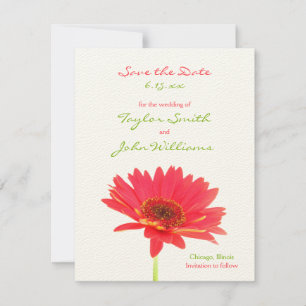 Gerbera-Marguerite Save-the-Date-Ankündigungen Save The Date