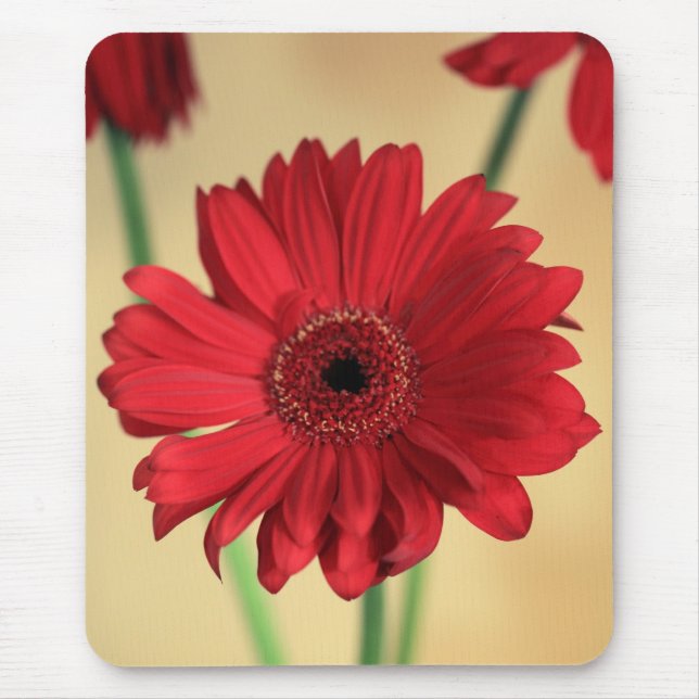 Gerbera Mousepad (Vorne)