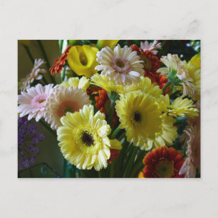 Gerbera Postkarte