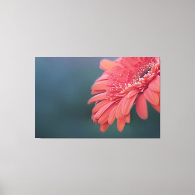 Gerbera Rote Blume Leinwanddruck (Vorderseite)