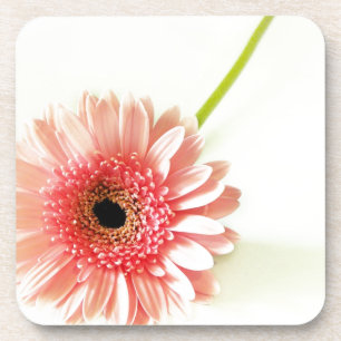 Gerbera Untersetzer