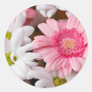 Gerberas und Chrysanthemas Runder Aufkleber