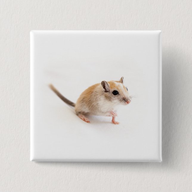 Gerbil Niedlich Baby Pet Gerbils Template Button (Vorderseite)