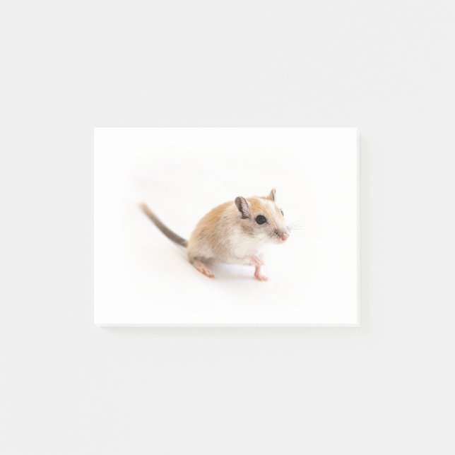 Gerbil Niedlich Baby Pet Gerbils Template Post-it Klebezettel (Vorderseite)