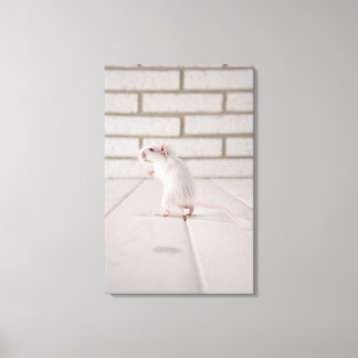 Gerbil stehend leinwanddruck