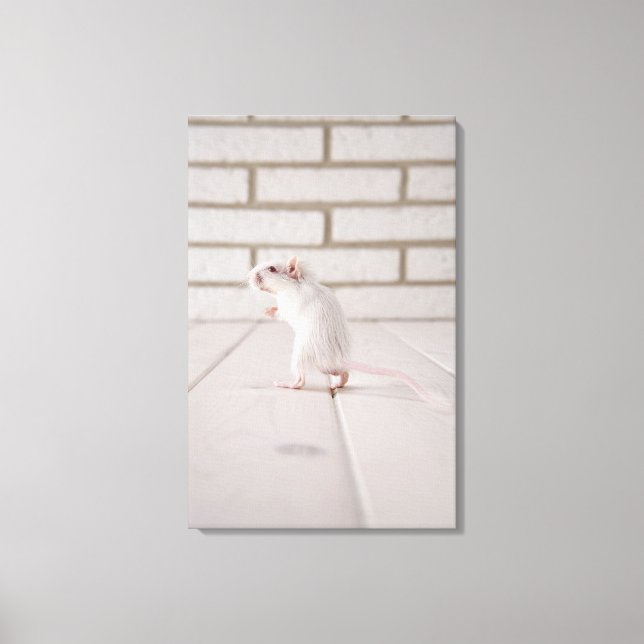 Gerbil stehend leinwanddruck (Vorderseite)