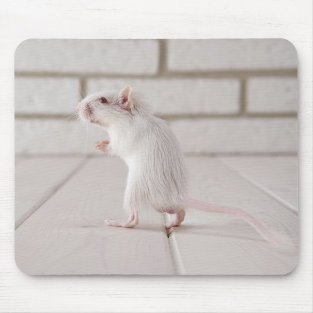 Gerbil stehend mousepad (Vorne)