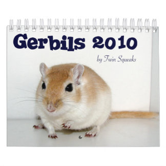 Gerbils 2010 kalender